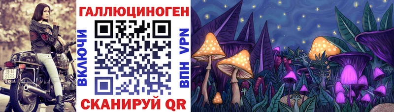 Галлюциногенные грибы ЛСД Горячий Ключ
